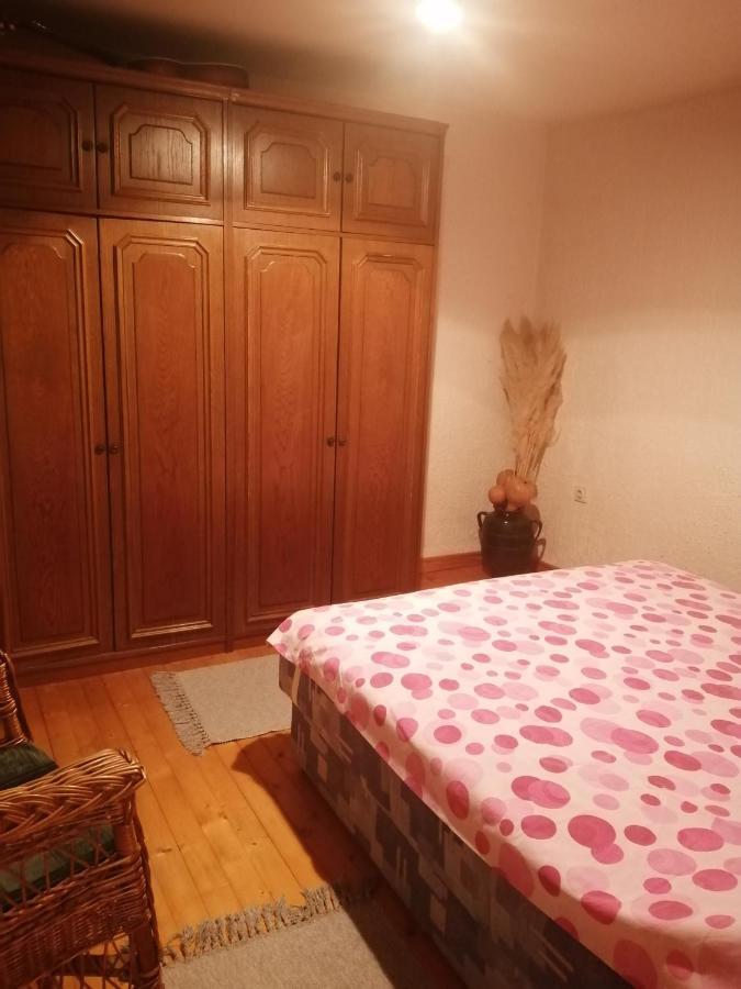 Apartman Nebojsa รุดนิค ภายนอก รูปภาพ